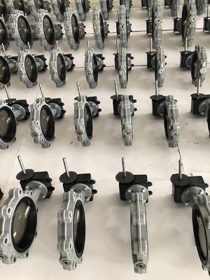 アルミニウム青銅ディスク付き150lbラグ型バタフライバルブ